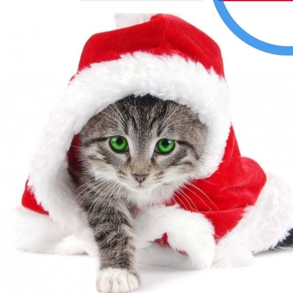 Meet your Posher, Isabelle - Picture 1 of 1